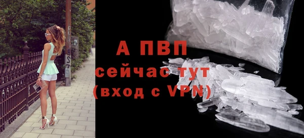 спиды Арсеньев